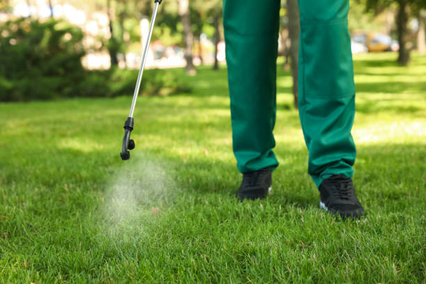 Best Pest Removal Services  in Paola, KS