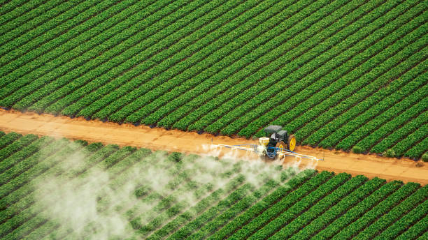Best Local Pest Control Services  in Paola, KS