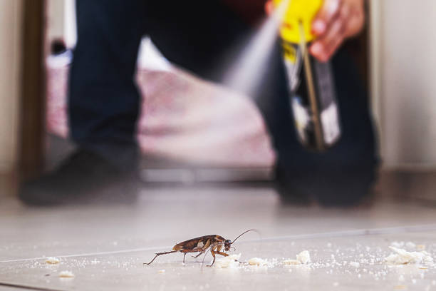 Best Pest Control for Businesses  in Paola, KS