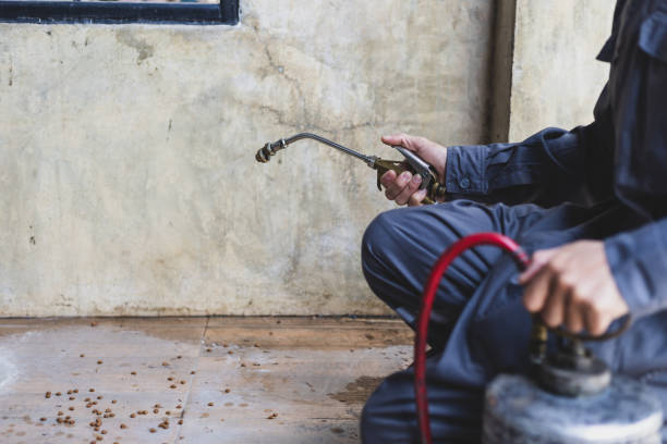 Best Emergency Pest Control  in Paola, KS